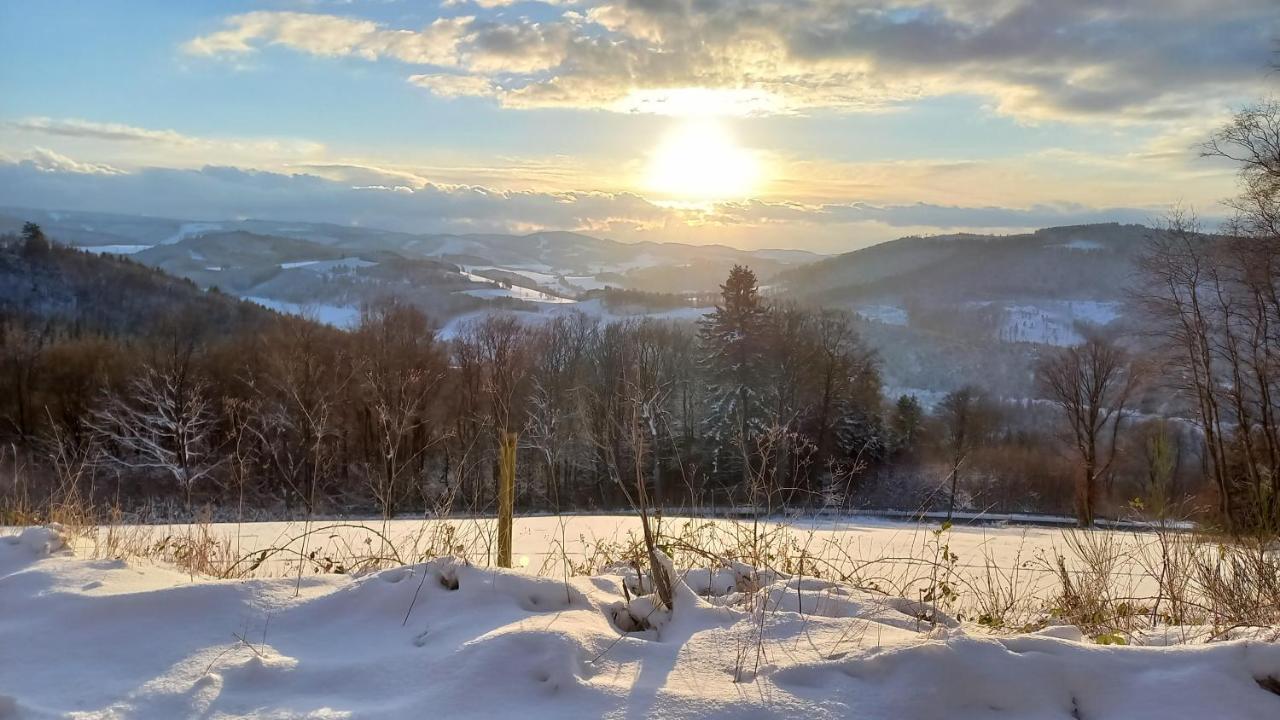 Ferienwohnung Sauerland Fernblick Olsberg Ngoại thất bức ảnh